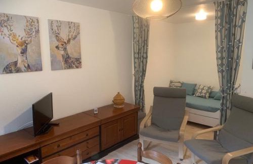 Mont-Dore Apartment | Au pied des pistes du Mont-Dore, 4 couchages, balcon, local à skis - FR-1-415-64