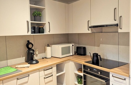 Steinbrunn-le-Bas Apartment | Au Soleil: Comfortable apartment
