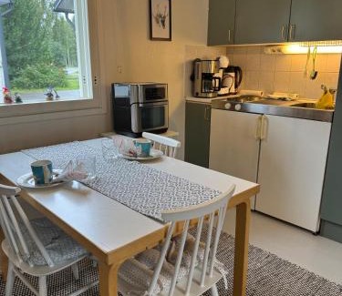 Rovaniemi Apartment | Aurora Cozy Studio