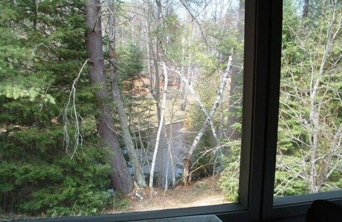 Grayling Cabin | AuSable River Rustic Cabin w/Central Air