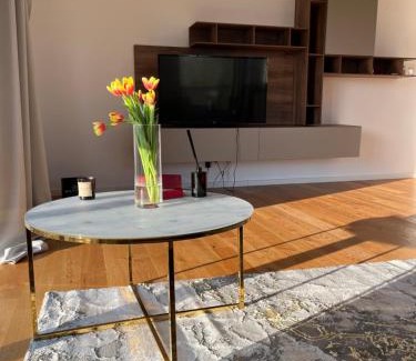 Aviatiei Apartment | Aviatiei new apartment