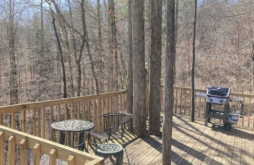 Slade Cabin | Away From It All! Pet Friendly