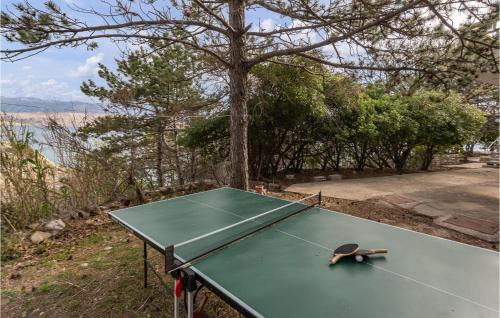 Bosana Apartment | Awesome Apartment In Novalja