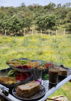 Aguelmous Other | AYA Farm,Ferme d'hotes Aguelmous