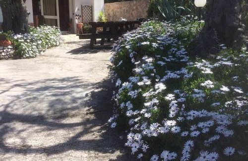 Chiesiola Bed & Breakfast | Azienda Agricola B&B Macchiaria