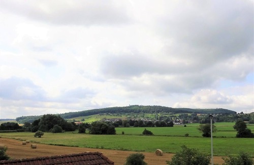 Buches Apartment | Büdingen 1-room apartment bright and suitable for allergy sufferers