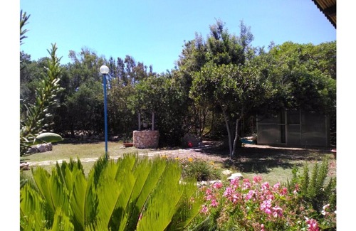 San Vero Milis Bed & Breakfast | B&B Azzurro "Bougainville"
