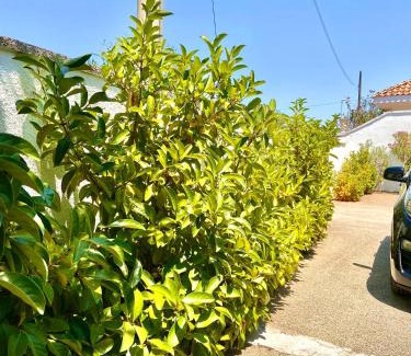 Scala di Furno Bed & Breakfast | B&B Costa Azzurra