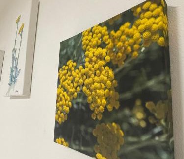La Maddalena Bed & Breakfast | B&B Dimora Mediterranea - La Maddalena