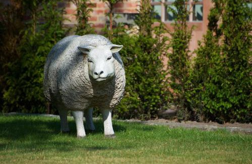 Gierle Bed & Breakfast | B&B Gielse Garden