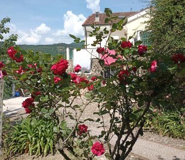 Finale Ligure Bed & Breakfast | B&B M&M