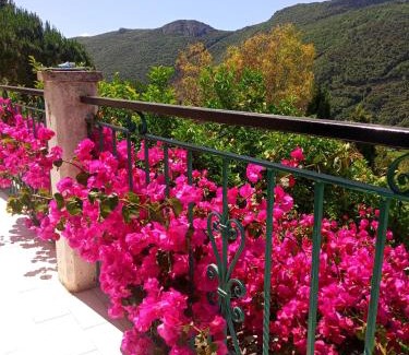 Finale Ligure Bed & Breakfast | B&B M&M