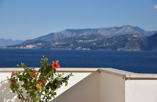 Marina Grande Bed & Breakfast | B&B Punta Vivara