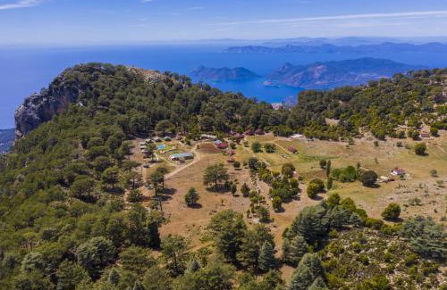 Faralya Other | Babakamp Eco Ranch & Retreat