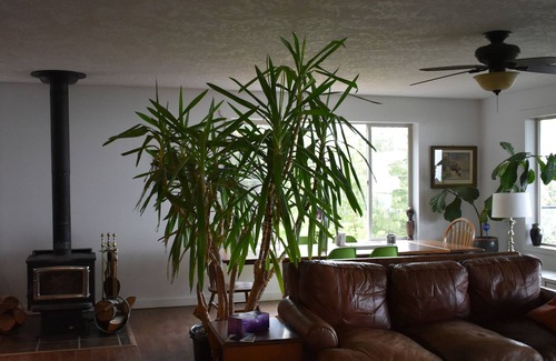 Regional District of Nanaimo House | Backcountry house with the best view !