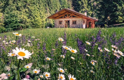 Ragoli House | Baita Valon Alpine Hideaway by Interhome