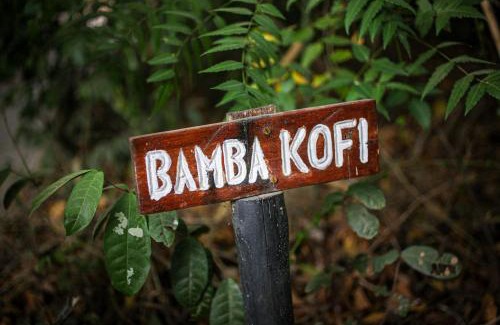 Watamu Other | Bamba Kofi Lodge