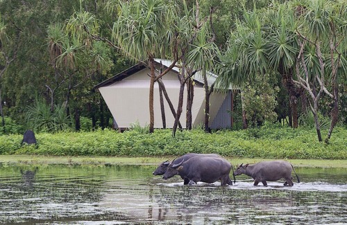 Point Stuart Resort | Bamurru Plains
