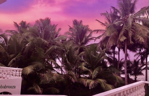 Baoba del Pinar Bed & Breakfast | Baoba Breeze BnB - Beachfront paradise! 4 rooms Seasonal availability!