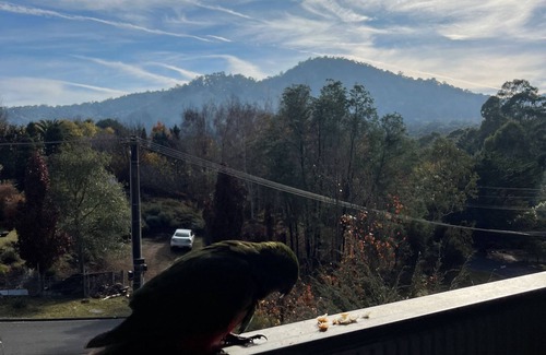 Merrijig House | Base of Mt Buller -3 bedroom house in Merrijig .OFFERING DISCOUNTS
