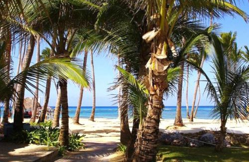 Punta Cana Apartment | Bavaro Punta Cana Apartamento con Piscina