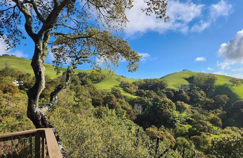 Lafayette House | Bay Area Refuge- Waterfall/Cave-Spa, Pool, Breathtaking Views and Hiking