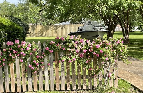 Breaux Bridge Apartment | Bayou & pool view with private patio