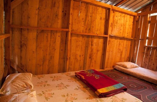 Olympos Hotel | Bayrams Tree Houses