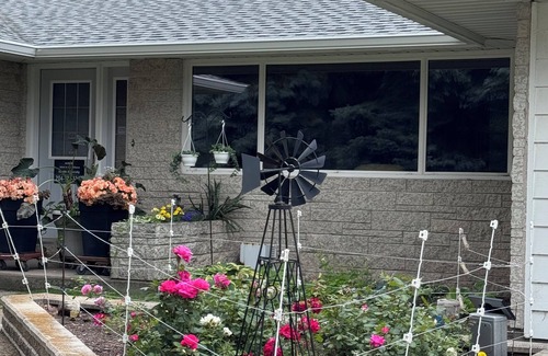 Killarney House | Bayside home with birds, butterflies, deer, and gardens