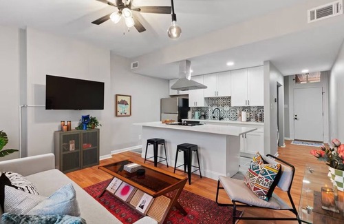Soulard Apartment | Be in the heart of Mardi Gras - Across from Duke's