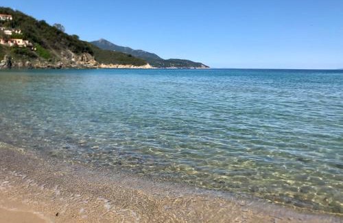 Biodola Apartment | Beach apartments Isola d'Elba