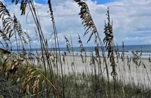 Surfside Beach House | Beach House Surfside - Private Pool Great Location