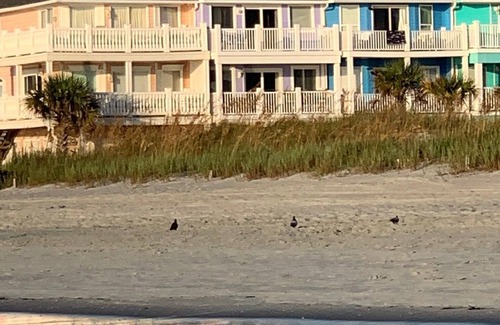 Garden City House | Beach Property - Private Townhome w/Balconies, 3 Bedrm 2 1/2 Bath, 2 Car Garage