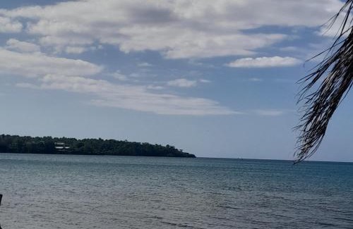 Port Antonio Other | Beach view tent