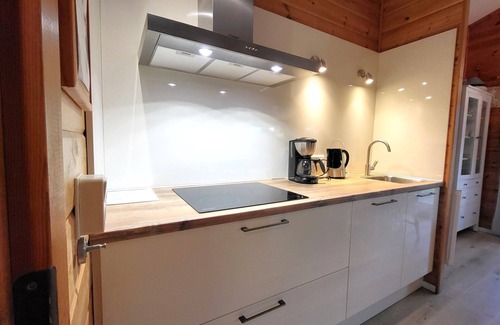 Renesse Ski Chalet | Beachpark 42 wooden chalet ideal for a beach holiday