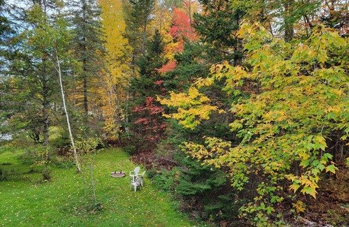 Bethlehem House | "Bear Crossing" Whole 🏠! 10% off 7 nts or more, 15% off 28 nts or more