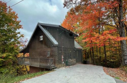 Chalet Village Ski Chalet | Bears Among Us