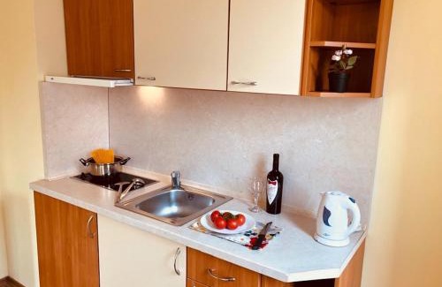 Chaika Hotel | Beatris Family House