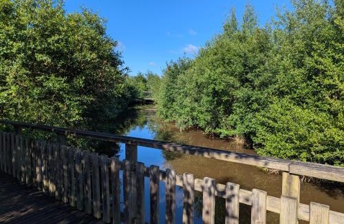 Le Teich Apartment | Beau T2 première ligne au Teich, espace nature, accès plage et port