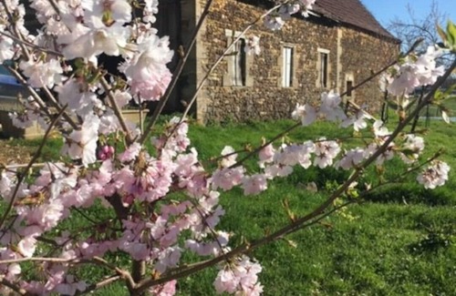 Saint-Avit-de-Vialard House | Beautiful remote farmhouse