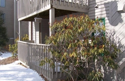 Nellysford Condo | Beautiful 2BR/2BA - DOG FRIENDLY - Great LOW Rates