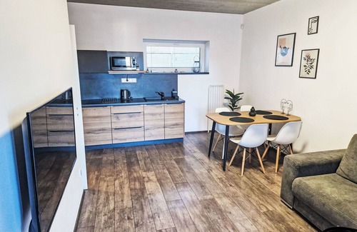 Cerna V Posumavi Apartment | Beautiful apartment for 4 people with WIFI and terrace
