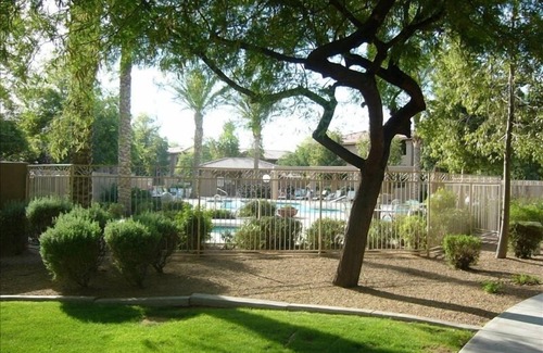 Chandler Condo | Beautiful apartment in Chandler, Very Private on Lush Grounds