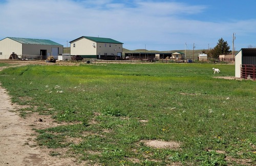 Lingle Bed & Breakfast | Beautiful barndiminiom Ranch Double Queen- Experiences and Activities available