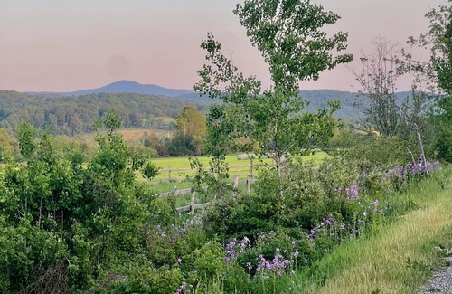 West Pawlet Apartment | Beautiful, bright retreat with balcony overlooking river and rail trail.