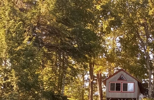 Spring Lake Cabin | Beautiful Cabin w/ lake frontage , dock and kayaks.
