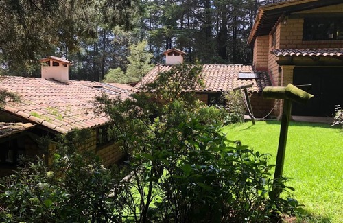 Alvaro Obregon House | beautiful house in middle the big garden. 3 bedrooms 2 bathrooms in the forest