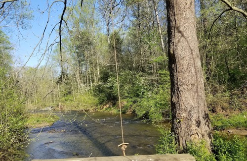 Ellijay House | Beautiful home located on Clear Creek . Relax and enjoy the sounds of nature....