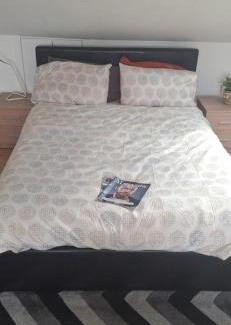 Kentish Town House | Beautiful loft with En-Suit in a family house,