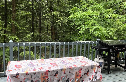 Bolton Landing House | Beautiful Log House In Bolton In Lake George Paradise! Dog friendly!